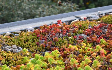 the cost of Crabble green roof installation