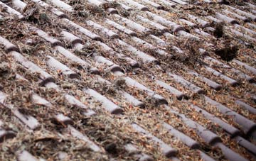 Crabble roof cleaning companies