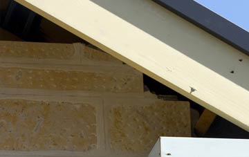 soffit repair Crabble