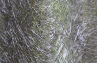 Crabble fibreglass roof work