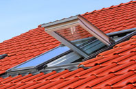 Crabble roof window